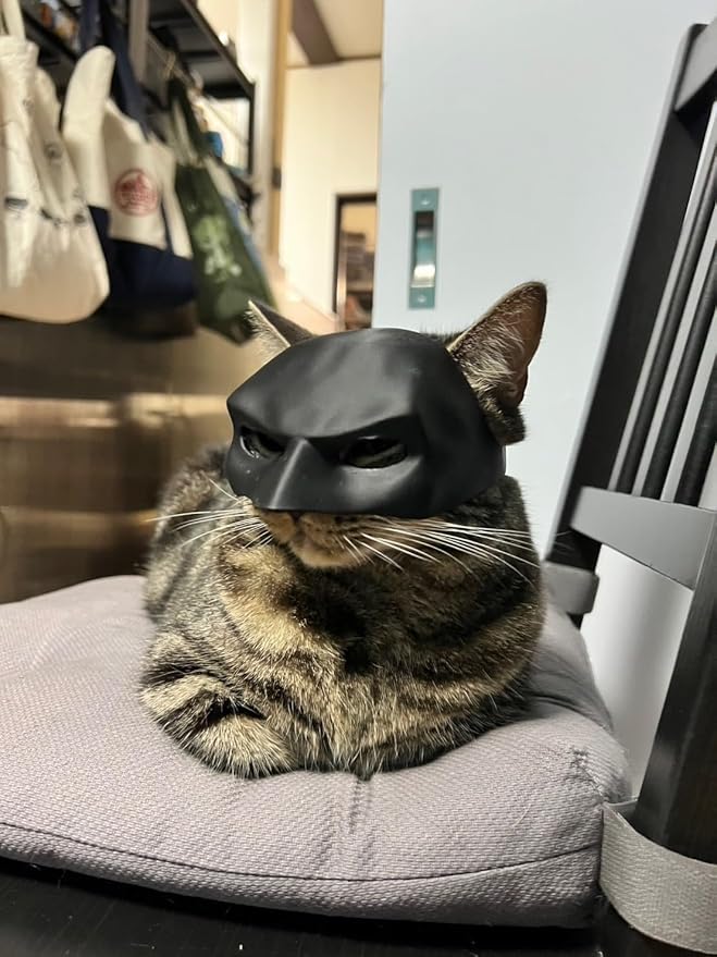 Felidax™️ Cat Bat Cool Man Mask