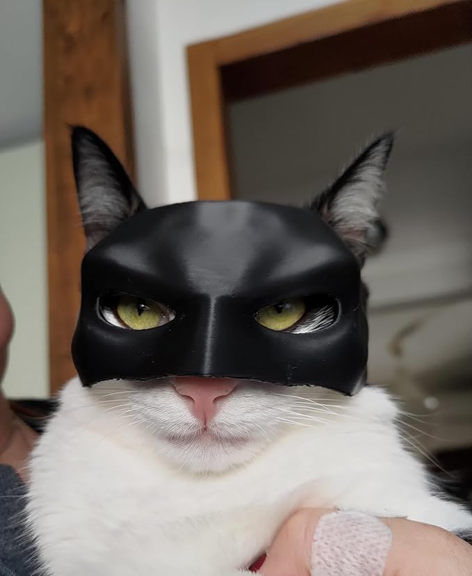 Felidax™️ Cat Bat Cool Man Mask